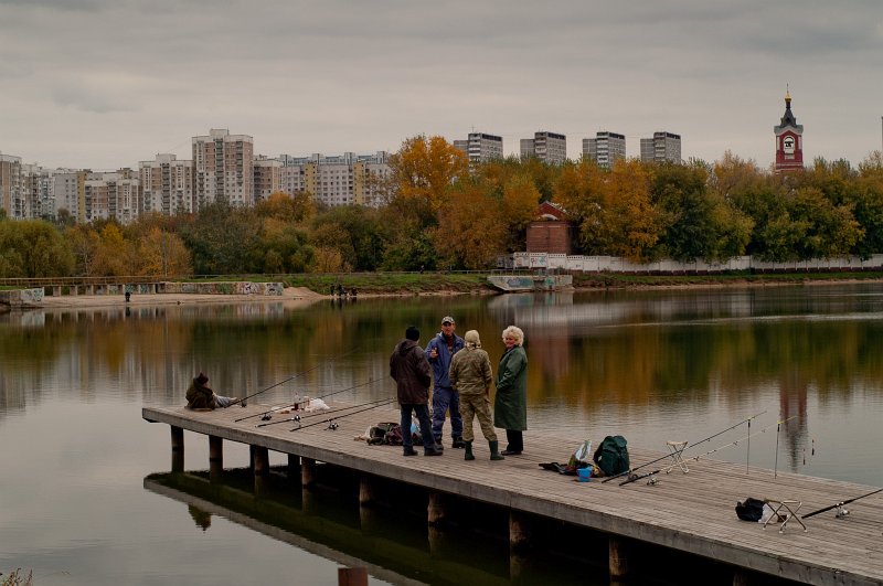 Борисовские пруды. Борисовские пруды 1990. Борисовские пруды сады и парки Москвы. Поселок на Борисовских прудах. Борисовские пруды раньше.