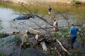 DSC06313