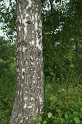 DSC06330