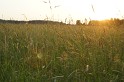 DSC06332